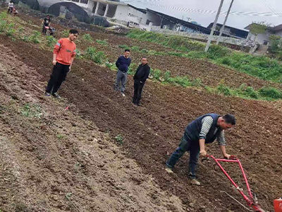 遵义市烟草公司桐梓县分公司高级农艺师周为华赴九坝烟区指导示范区烟苗管理工作