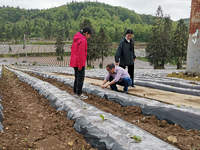 图2 丁伟教授指导小培土操作细节.jpg