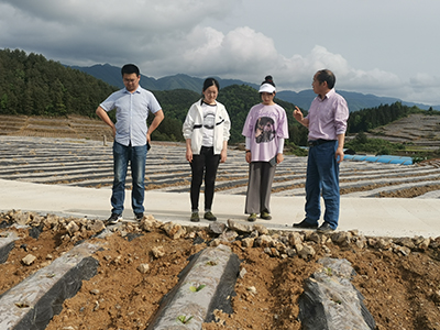 丁伟教授率队赴黔江邻鄂烟草研究基地调研指导
