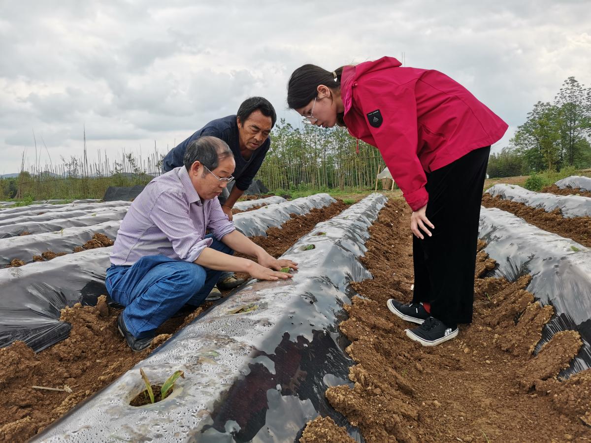 丁伟教授率队赴湘西州花垣烟草基地调研指导