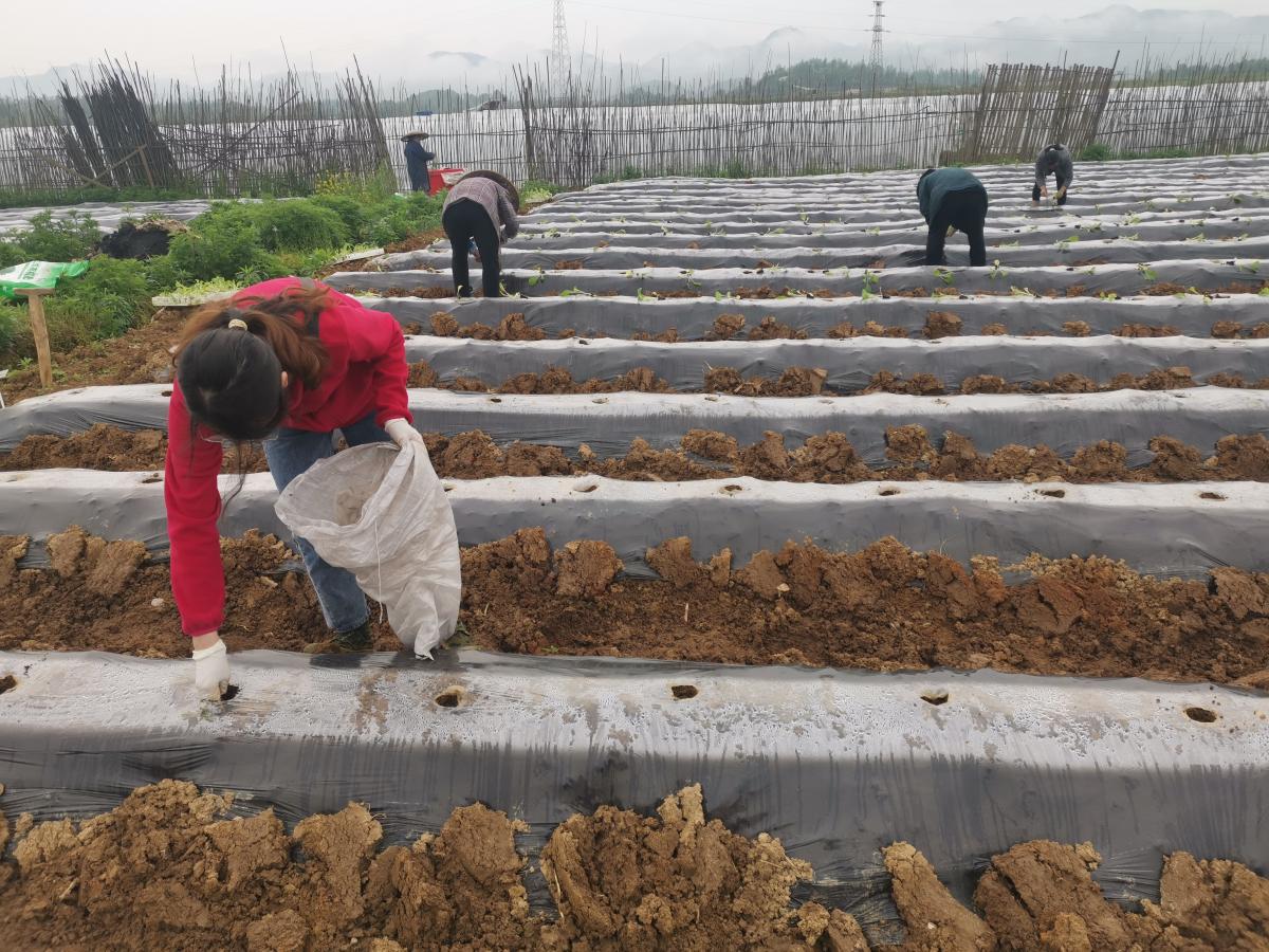 花垣基地驻点人员接受湘西州烟草公司田峰主任视察指导