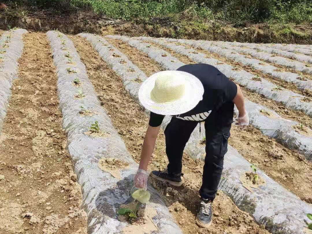 微信图片_20210510155947.jpg