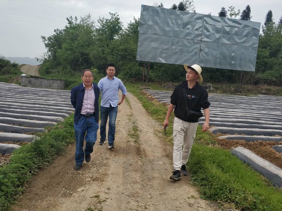 丁伟教授率队赴酉阳苍岭烟草研究基地调研指导