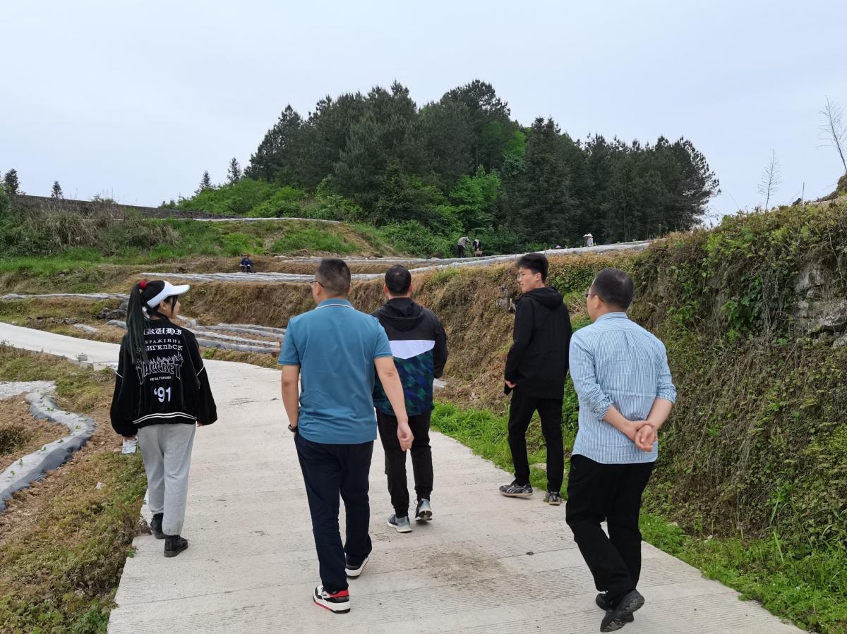 黔江烟草公司烟叶科副科长张学杰调研黔江邻鄂基地
