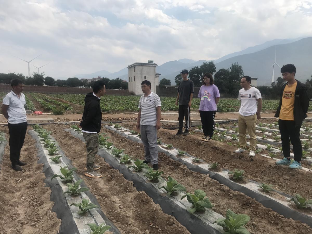 西南大学烟草植保团队赴凉山州开展项目工作