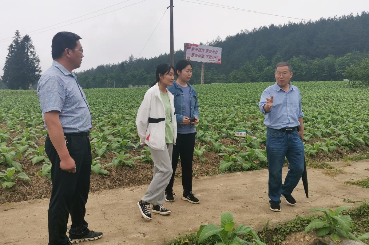 丁伟教授率队赴彭水县润溪烟草研究基地调研指导
