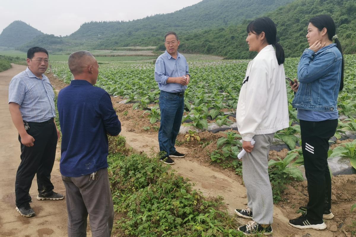图2  丁伟教授与当地烟农交流.jpg
