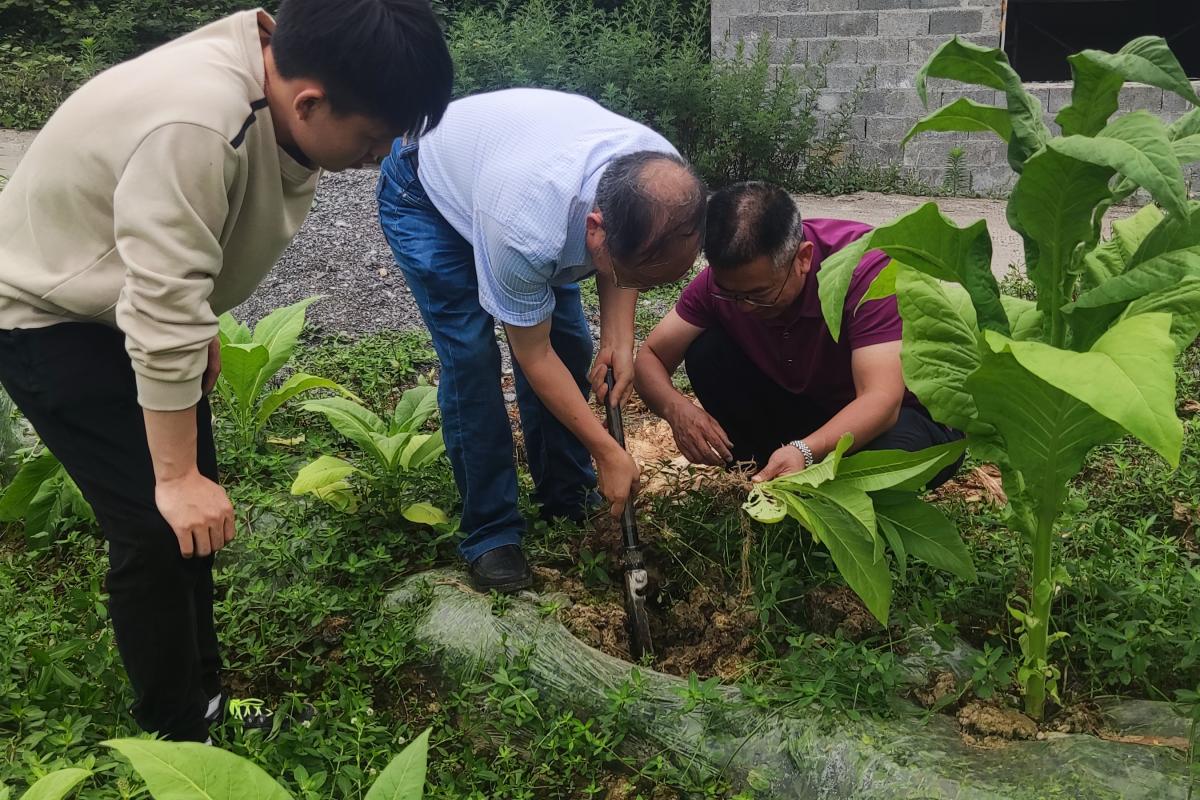 图5  丁伟教授在凤岗调研指导.jpg