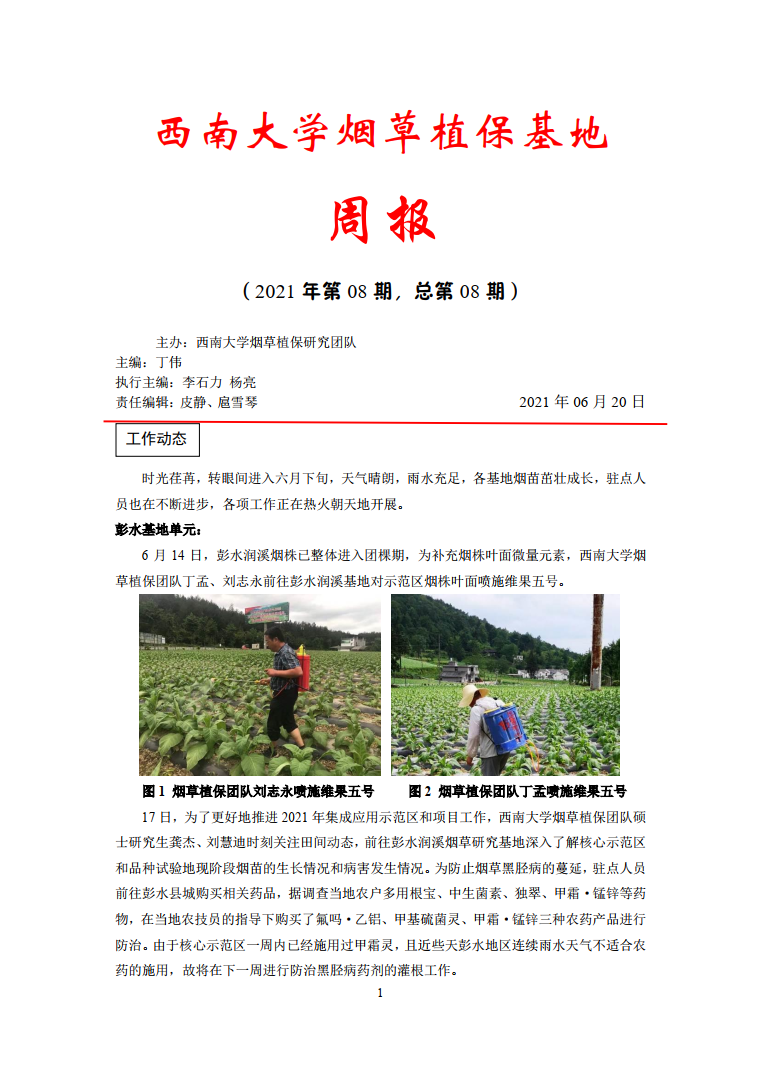 2021年第8期西南大学植保基地周报