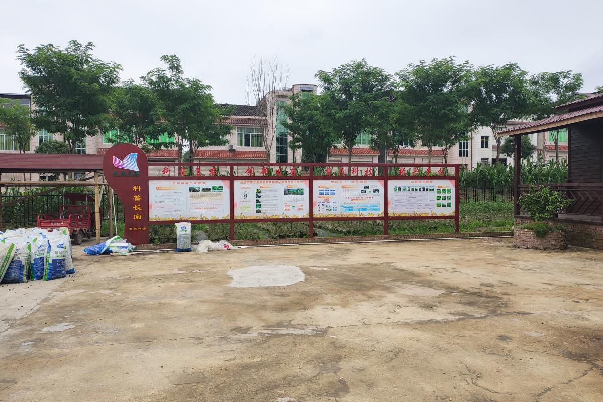 重庆忠县网站建设意见_重庆忠县网站建设意见公示