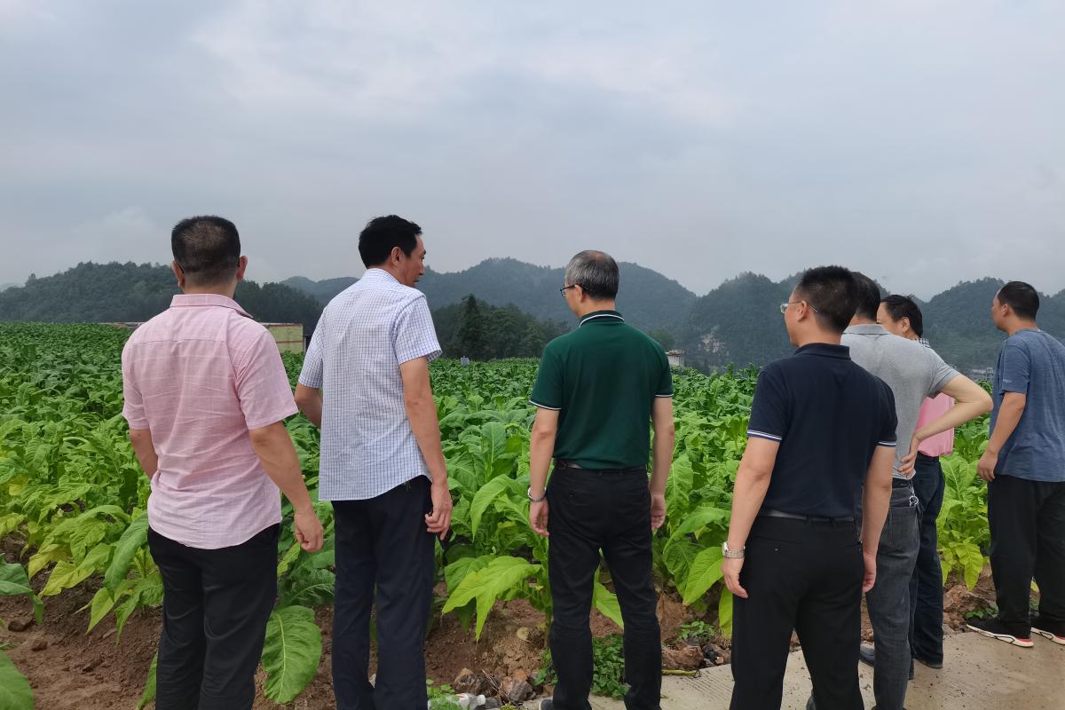 图2  王平经理同驻点人员交流.jpg