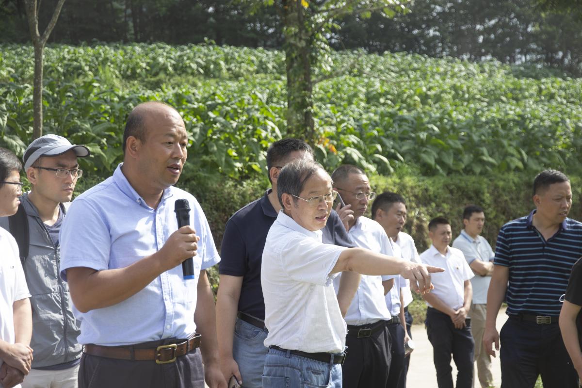 图1  丁伟教授在田间调查.jpg