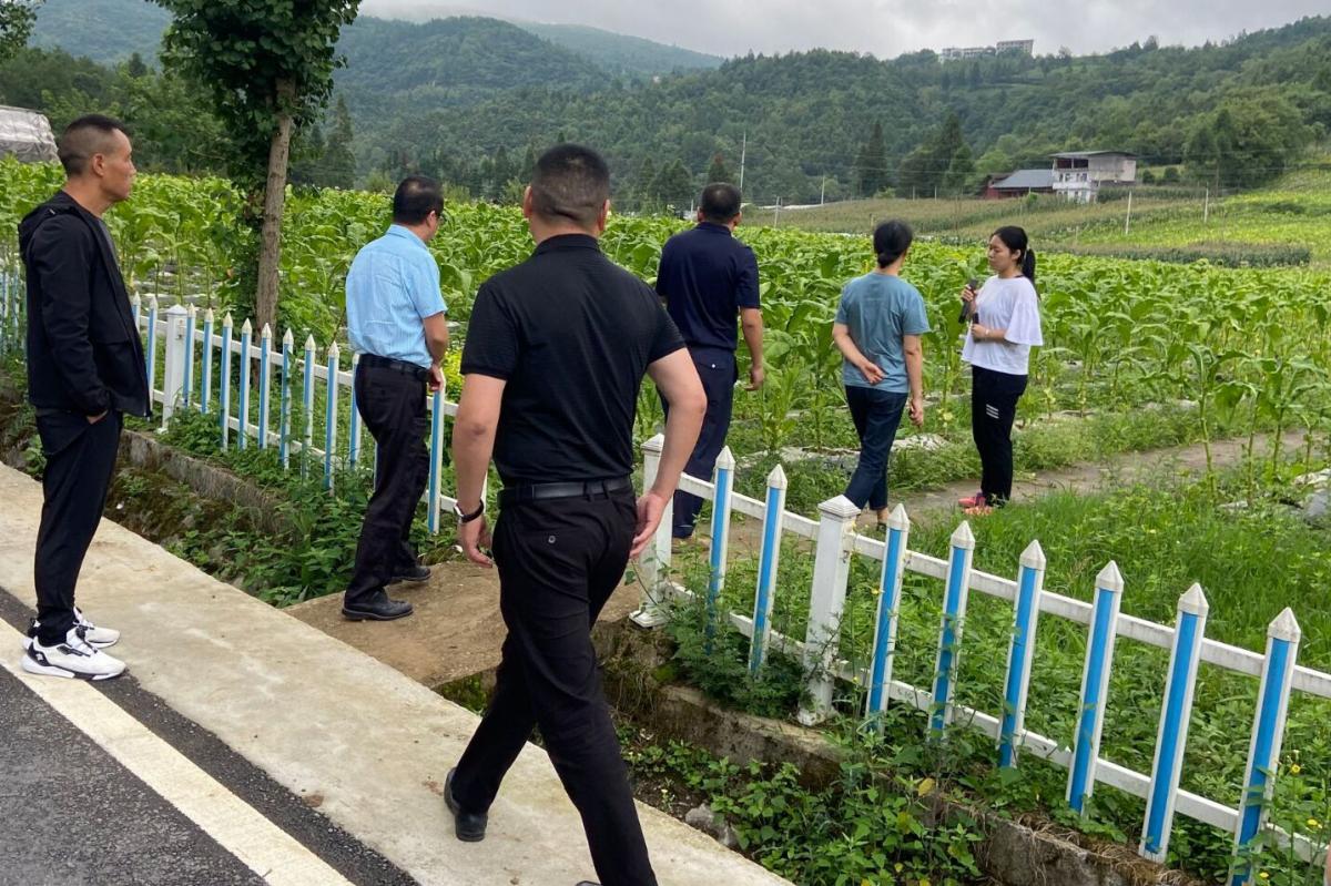 图1  调研小组考察核心示范区.jpg