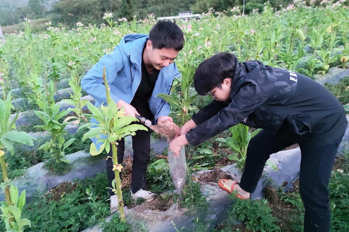 烟草植保团队前往渝东北、渝东南地区开展土壤样品采集工作