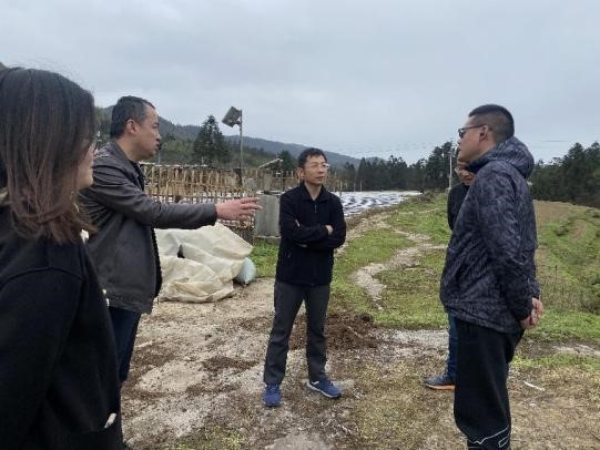 重庆中烟肖庆礼博士赴彭水润溪视察工作