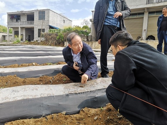 西南大学烟草植保团队前往酉阳县龚滩镇进行烟叶基地考察