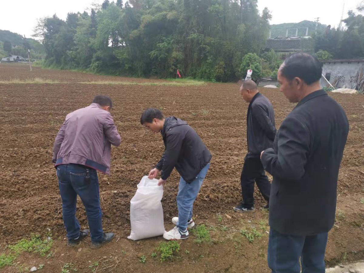仲春时节，烟似锦-西南大学烟草植保团队赴贵州开展项目工作