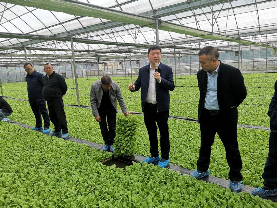 酉阳烟草分公司2022年烟叶移栽技术培训会