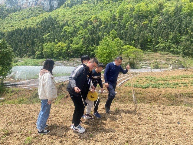 西南大学烟草植保团队赴彭水润溪进行小区试验处理