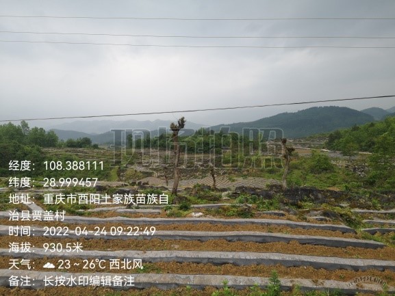 龚滩基地单元示范区示范标牌选址