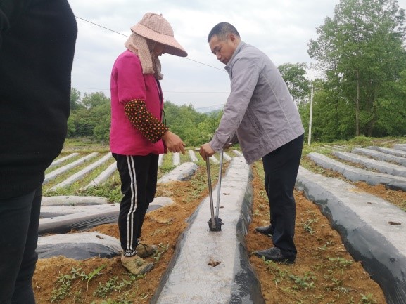 龚滩基地单元土壤熏蒸地块移栽技术现场培训会