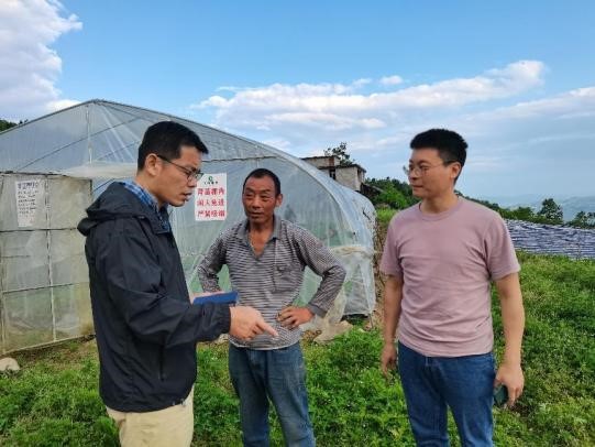 西南大学烟草植保团队赴彭水调研移栽工作进度