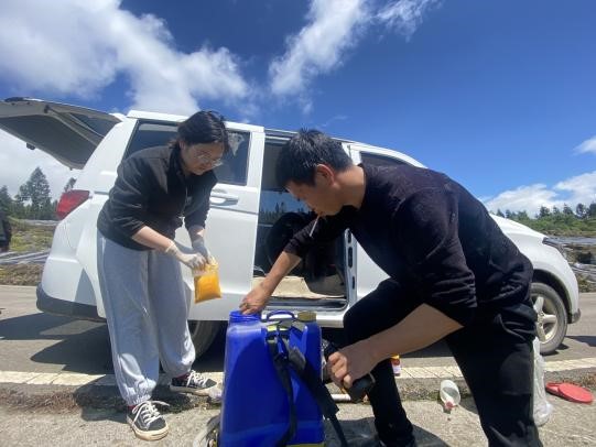 风和日丽——彭水大厂移栽培训正当时