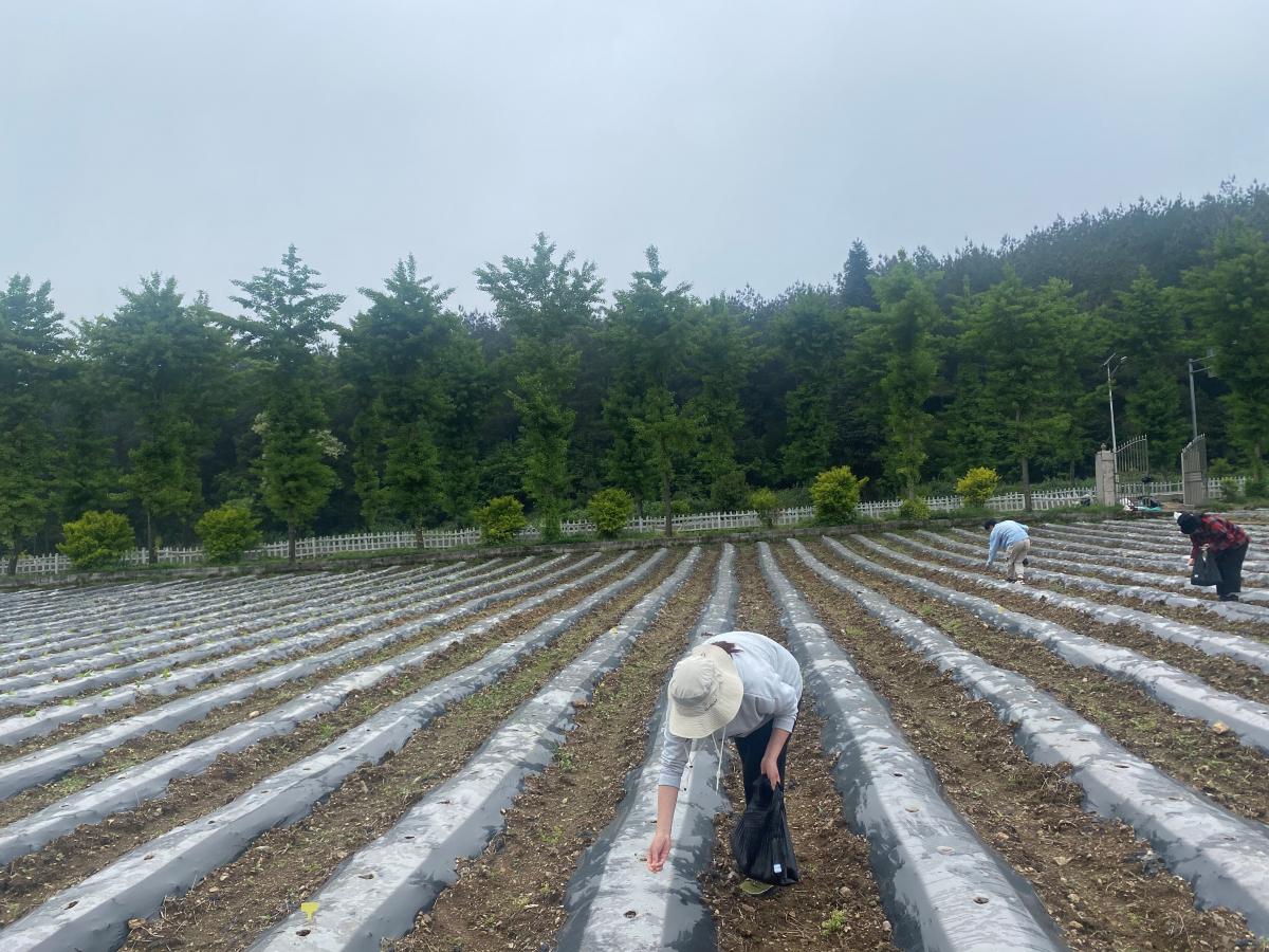 润溪基地单元开展小区试验