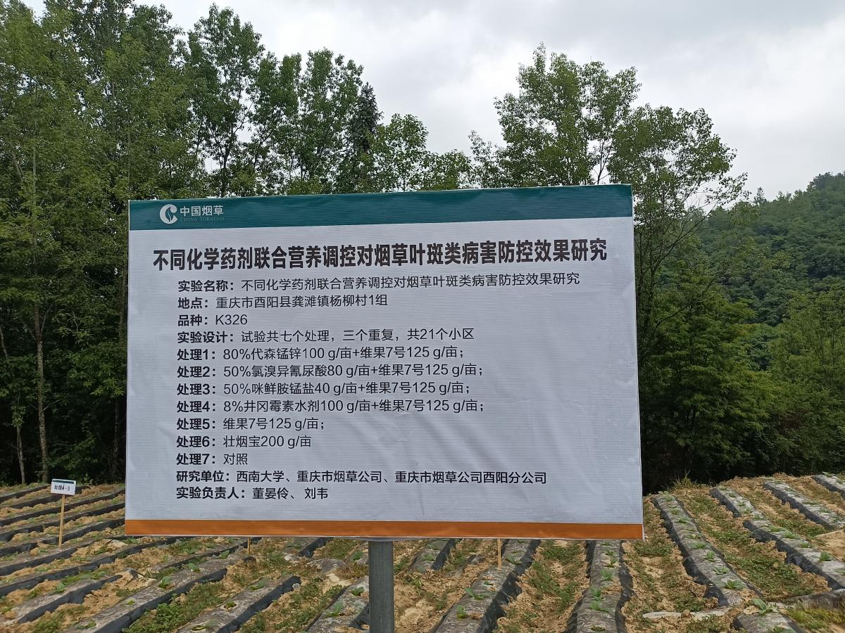 龚滩示范区开展标牌落地与烟苗生长情况考察工作