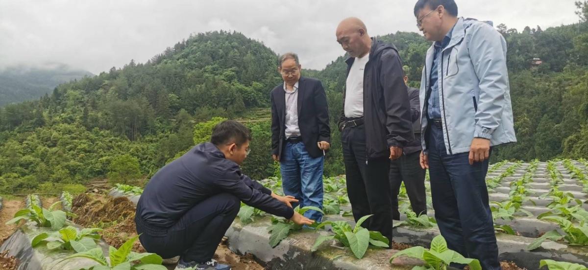龚滩、两罾基地单元工作视察