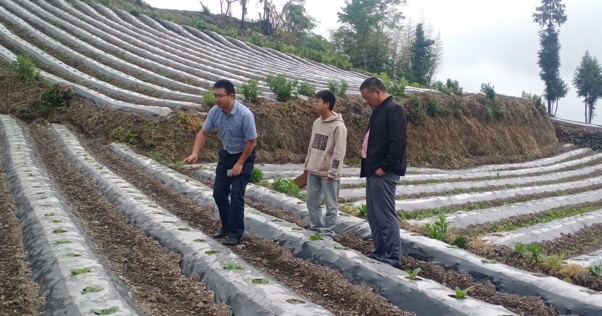 西南大学烟草植保团队前往巫山基地单元视察