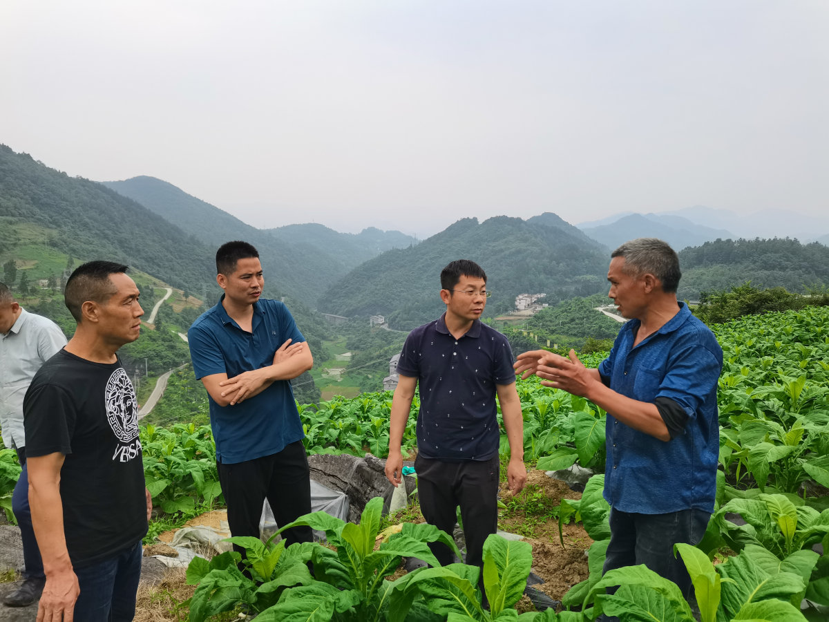 病害问诊——重庆中烟肖庆礼博士出良方