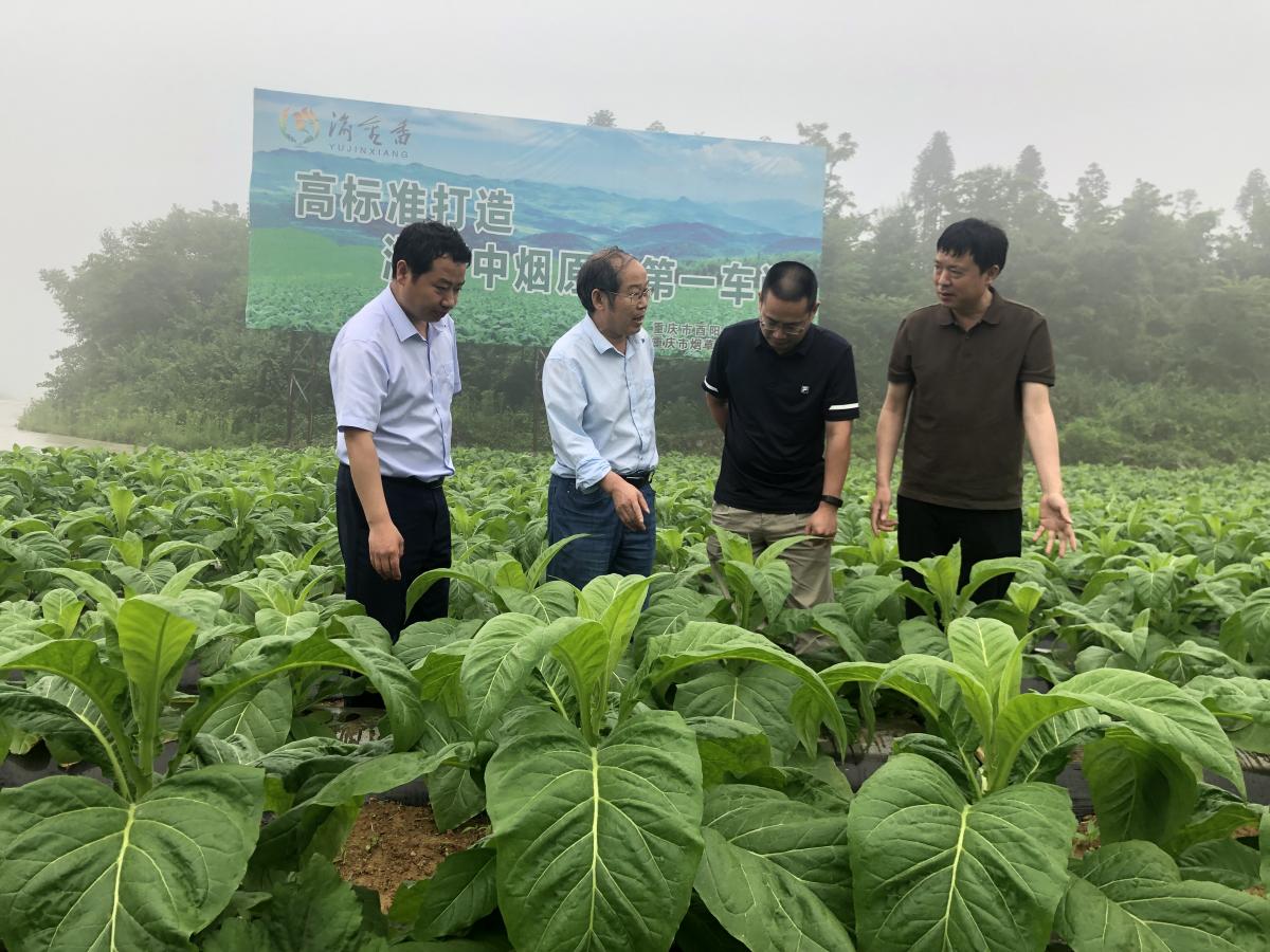 任重道远须策马，回避风险好扬帆