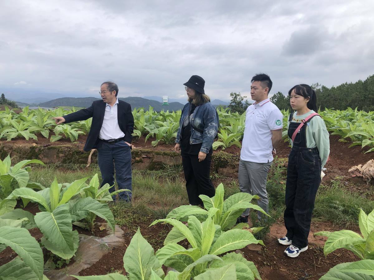 丁伟教授一行赴凉山州会理推进烟草科技小院高质量建设