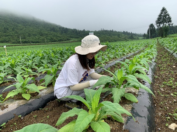 稳中向前——彭水驻点人员前往洋藿塘进行土壤样品采集