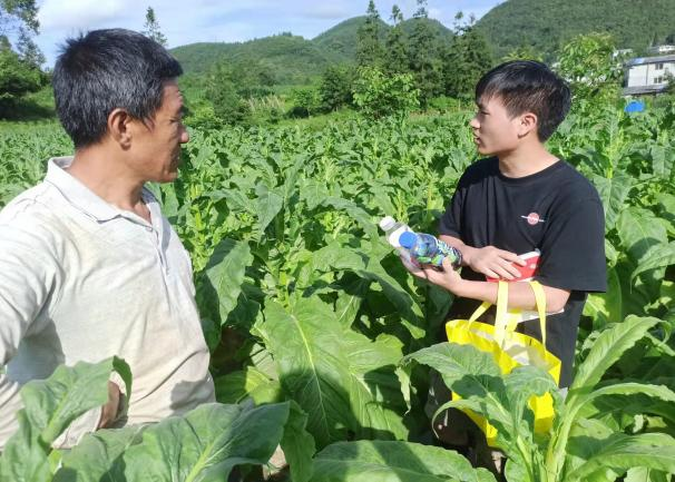 我为烟农办实事——西南大学烟草植保团队在九坝烟区践行初心和使命