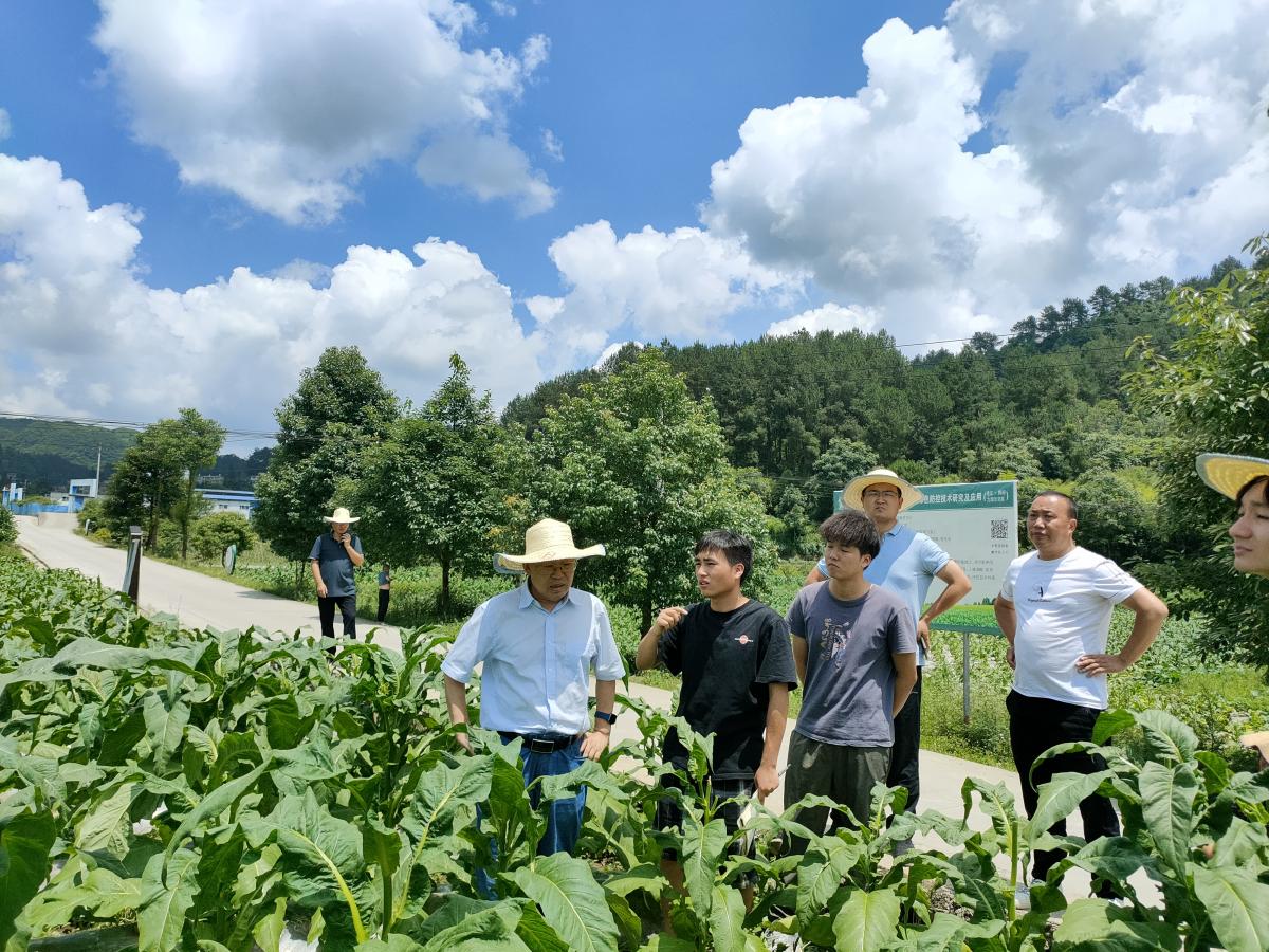 7.5 小区试验地.jpg