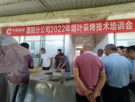 酉阳烟草分公司2022年烟叶采烤技术培训会