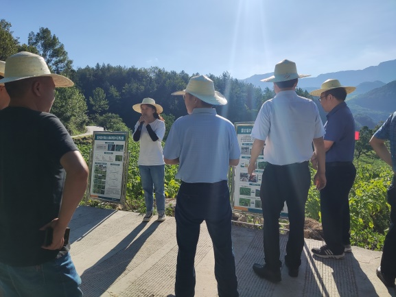 龚滩两罾基地单元土壤保育及烟叶健康栽培现场观摩会