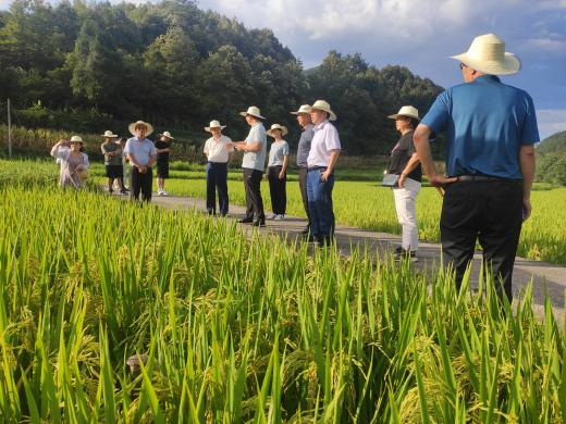 2022年铜梁区及彭水县龟池村农用地污染土壤治理修复项目田间观摩会