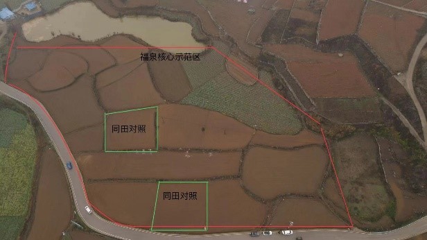烟藏于地，烟藏于技——西南大学项目组在贵州黔南开展示范工作