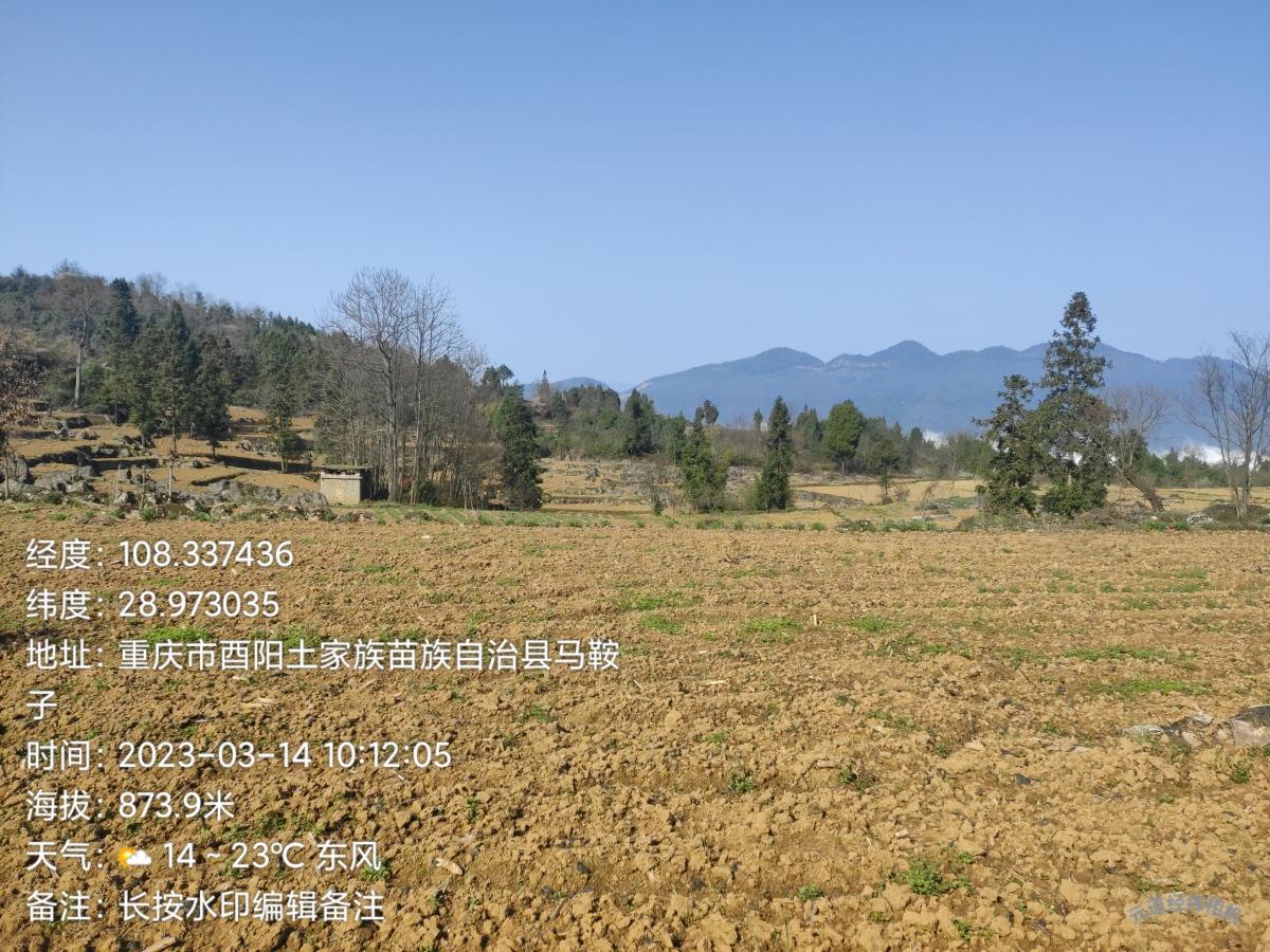 西南大学项目组赴酉阳龚滩、两罾开展示范工作