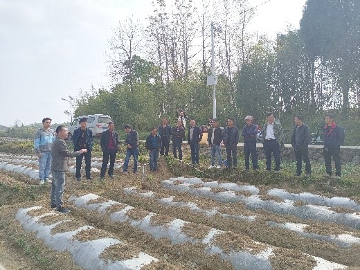 论文写在大地上，成果留在烟农家——西南大学厉阗教授在黔南烟区开展技术工作