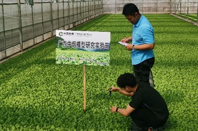 西南大学项目组前往重庆市奉节县兴隆烟草基地单元调研