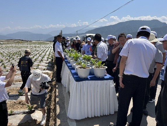 西南大学烟草植保团队受邀参加四川烟草商业系统科技创新驱动高质量发展推进会