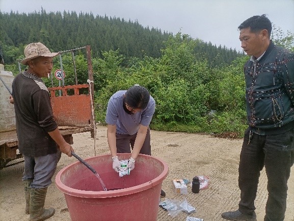 紧跟烟叶生产，初见技术成效-西南大学烟草植保团队在行动