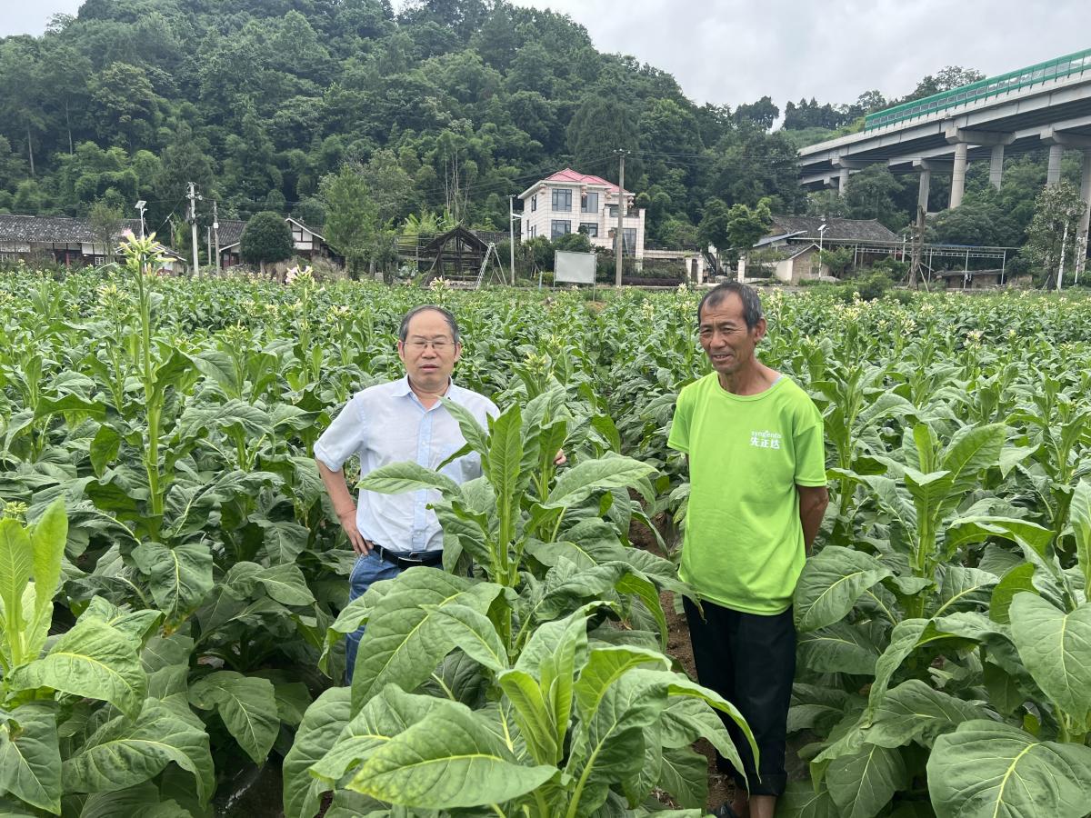 丁伟教授赴遵义示范区调研
