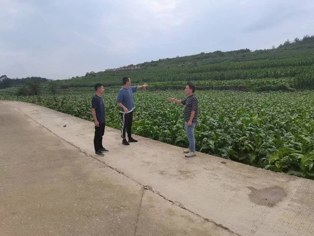 西南大学项目组在瓮安珠藏示范区开展项目工作