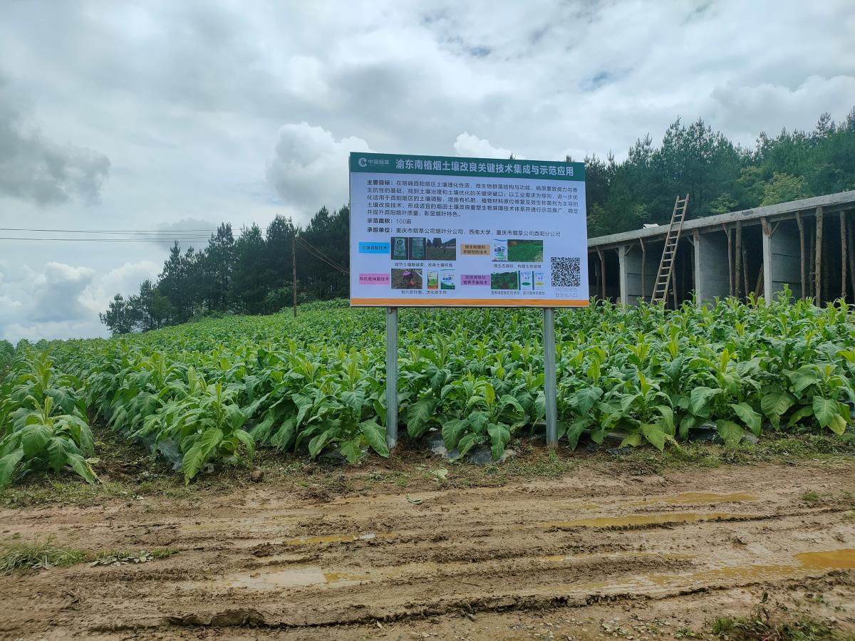 酉阳苍岭烟叶基地单元开展示范区标牌安置工作