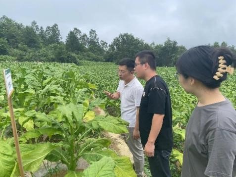 重庆中烟肖庆礼博士赴彭水开展调研工作